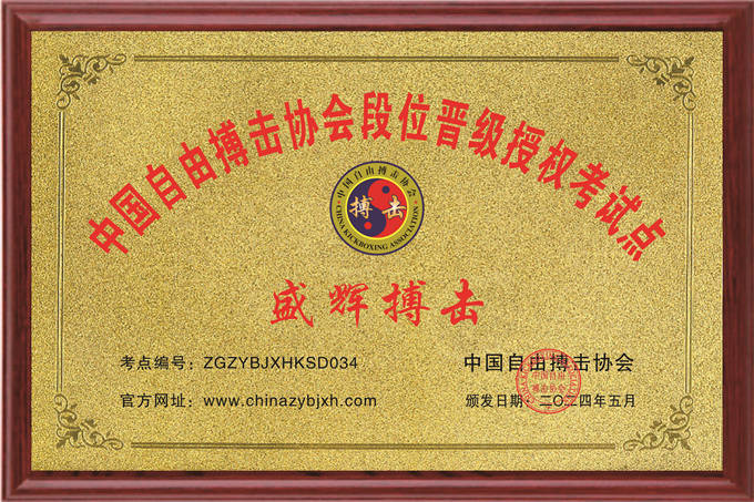 盛辉搏击